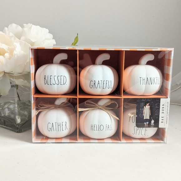 Rae Dunn Harvest Mini Pumpkin Decor Set
